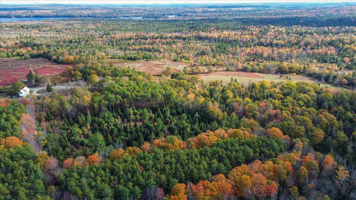 590 Range Road Blue Hill ME 04614