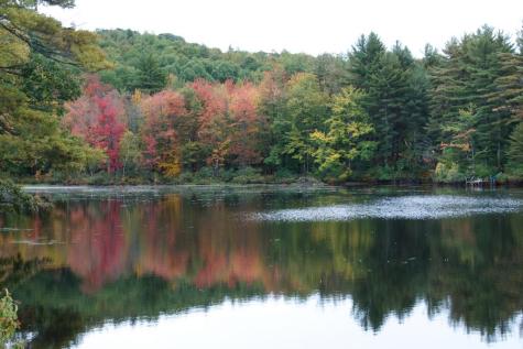 13 & 16 Joyal Hill Lane Casco ME 04015