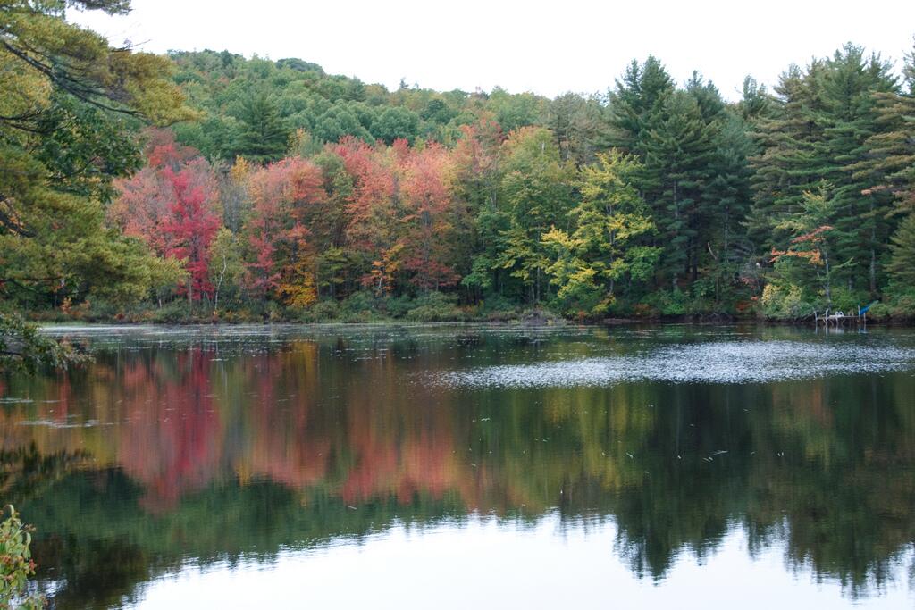 13 & 16 Joyal Hill Lane Casco ME 04015