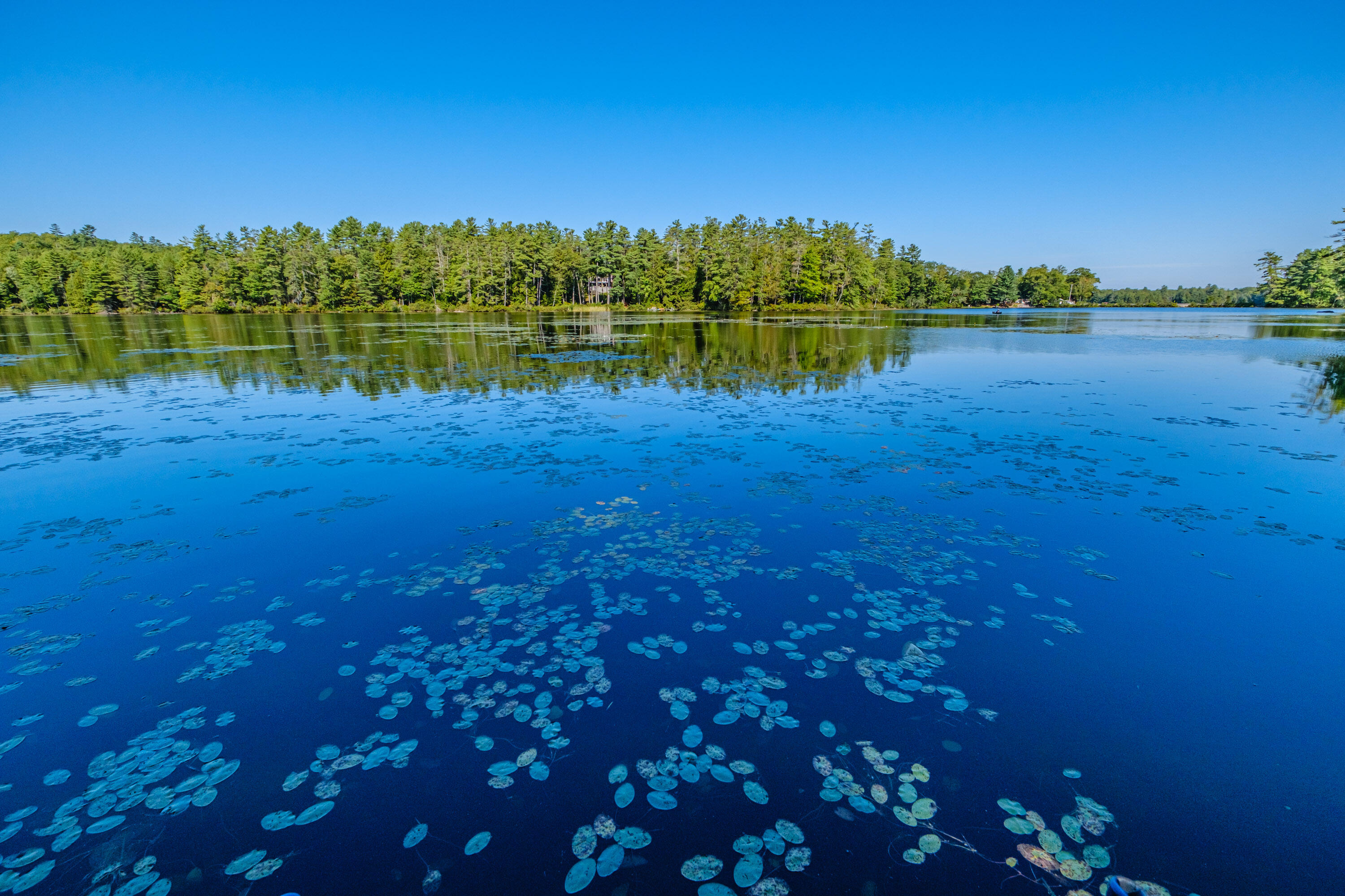 13 & 16 Joyal Hill Lane Casco ME 04015