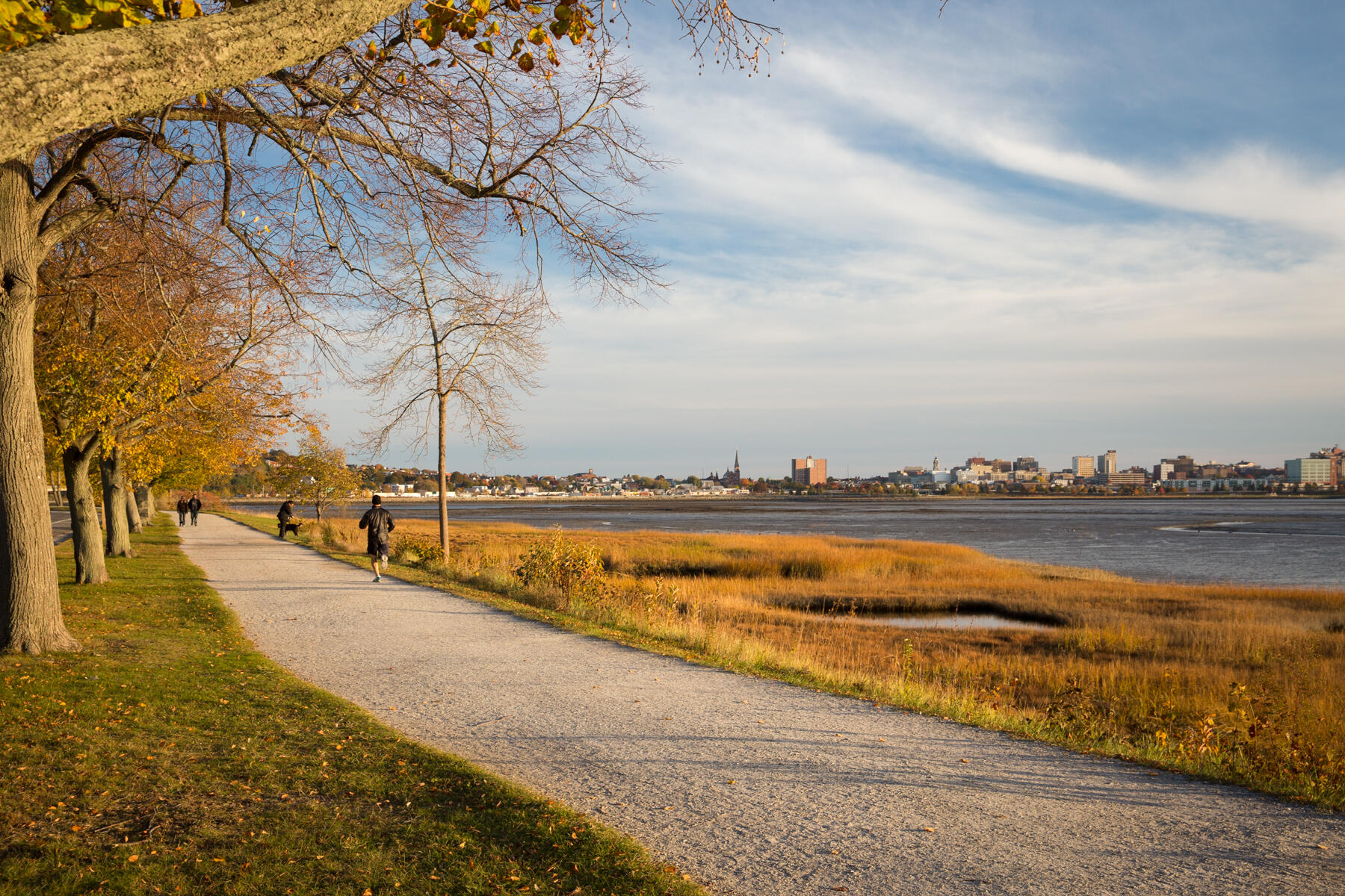 48 Ashmont Street Portland ME 04103