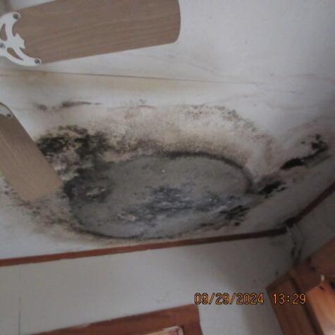 4 Lancaster Avenue Guilford ME 04443