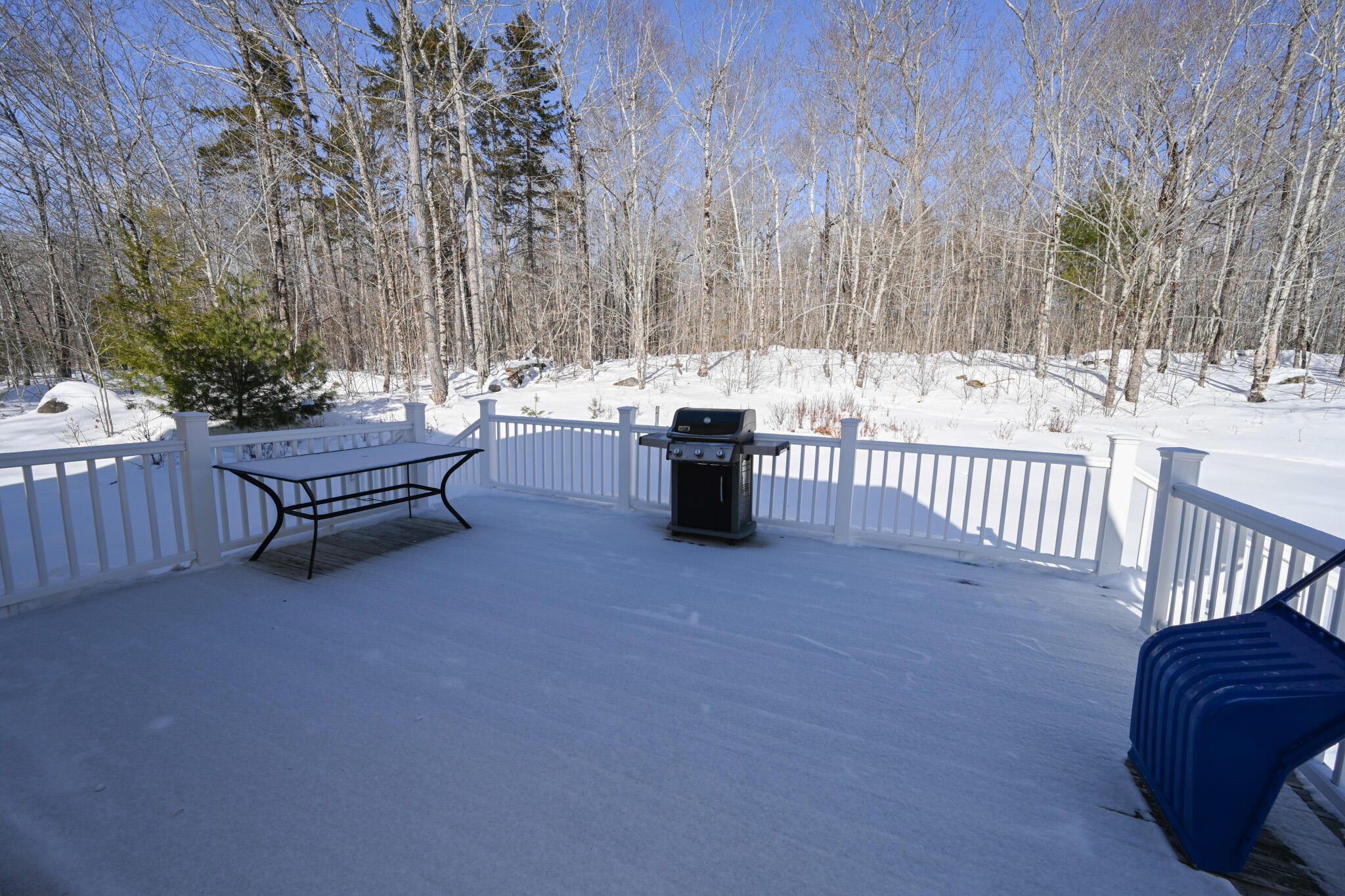 358 Peakes Hill Road Dedham ME 04429