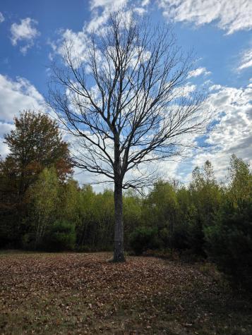 25 Donaghy Road Frankfort ME 04438