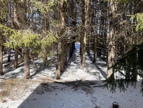 28 E Sangerville Road Sangerville ME 04479