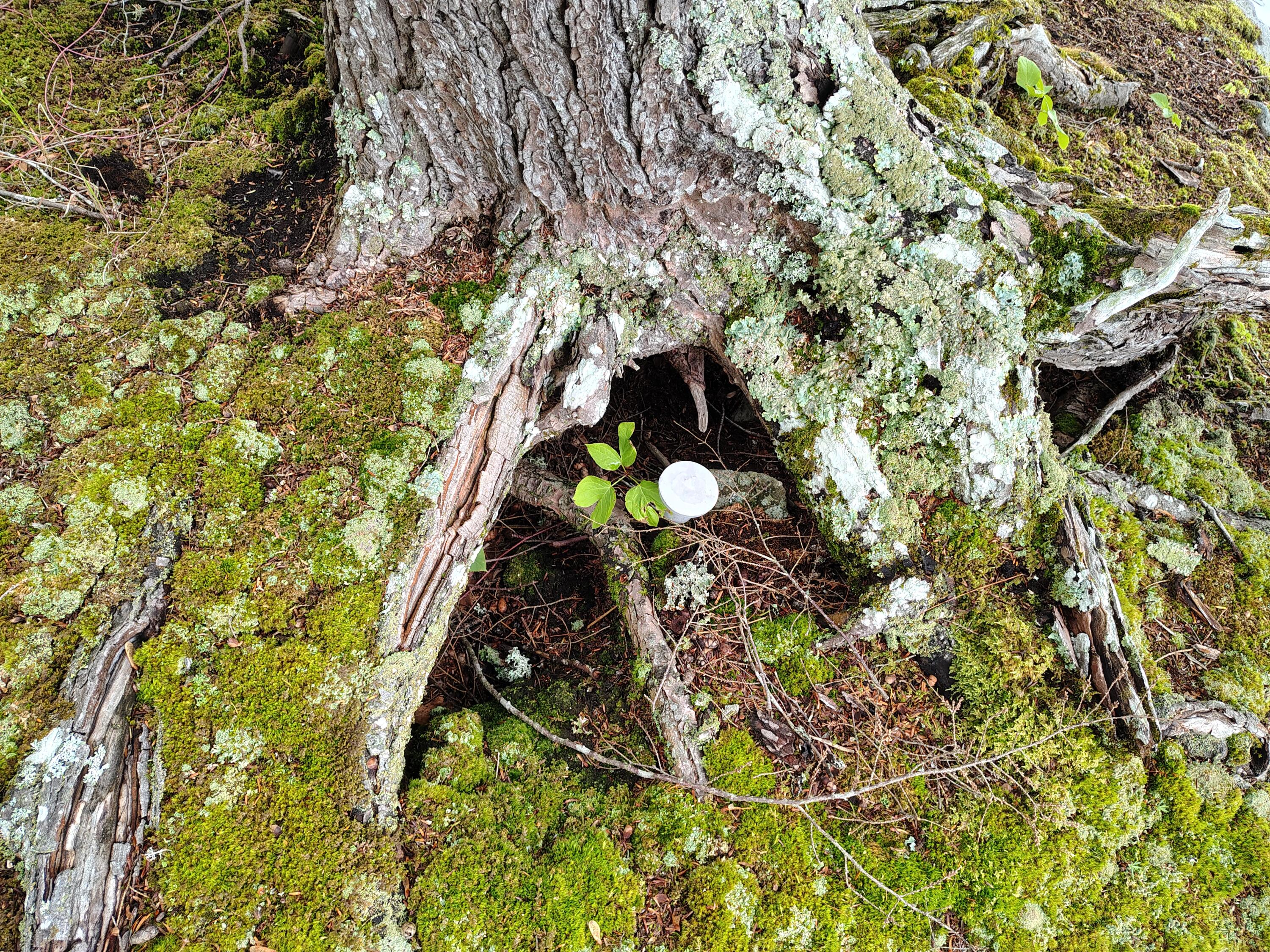 114 East Shore Road Benedicta Twp ME 04733