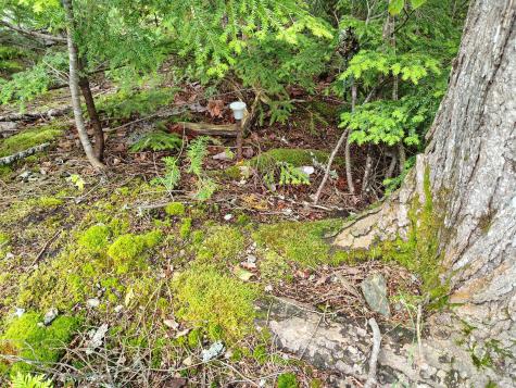 114 East Shore Road Benedicta Twp ME 04733