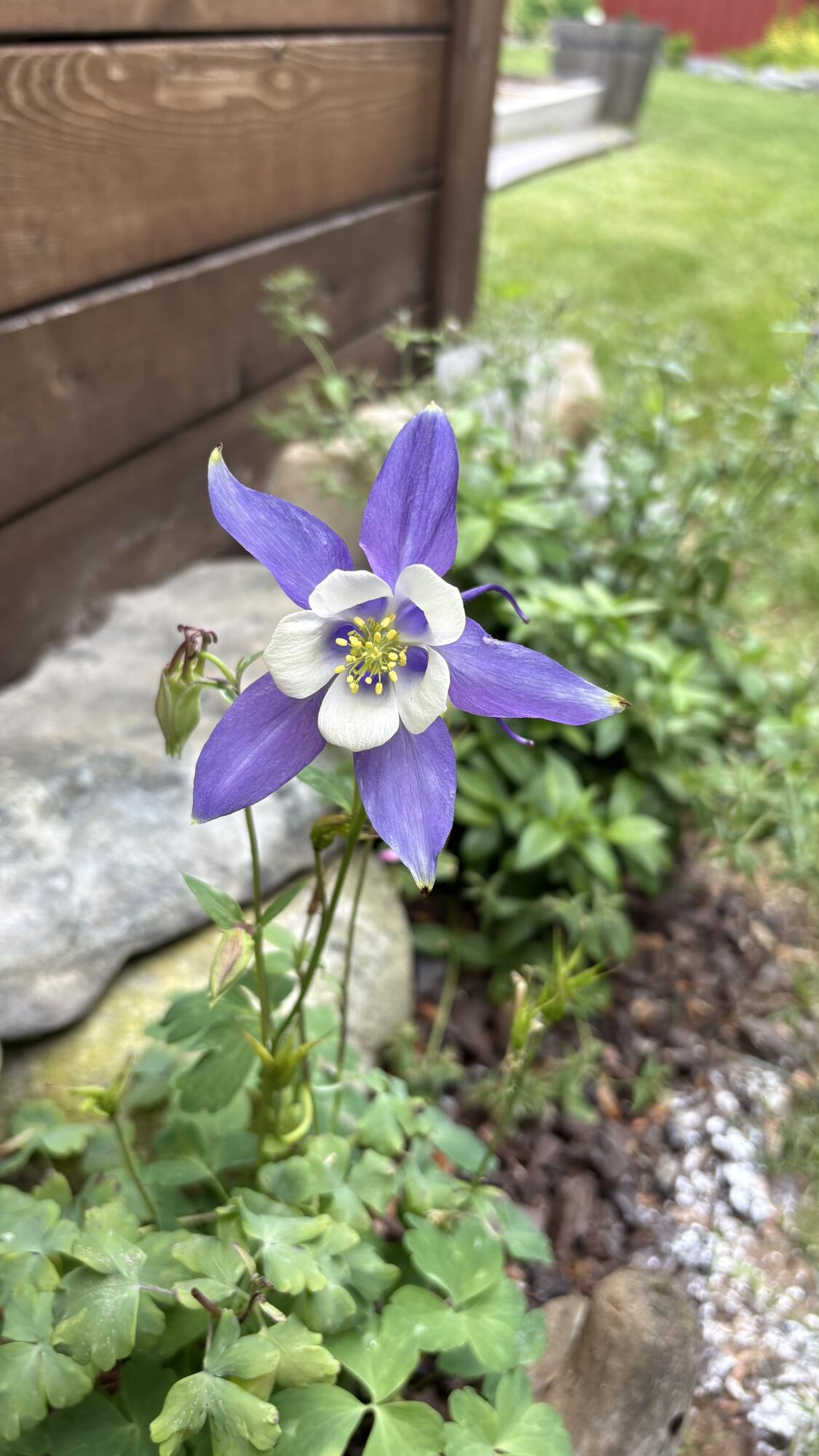 18 Winter Street Millinocket ME 04462