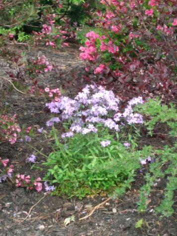 28 Tarkiln Hill Road Raymond ME 04071