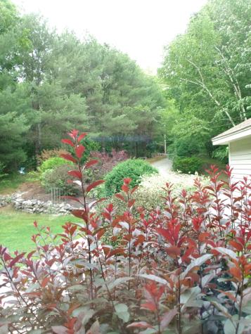 28 Tarkiln Hill Road Raymond ME 04071