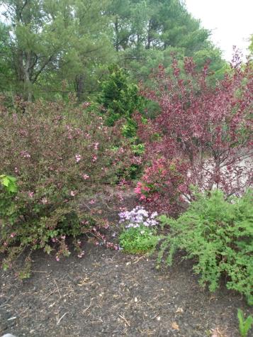 28 Tarkiln Hill Road Raymond ME 04071