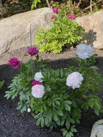 119 Hearthside Road Standish ME 04084