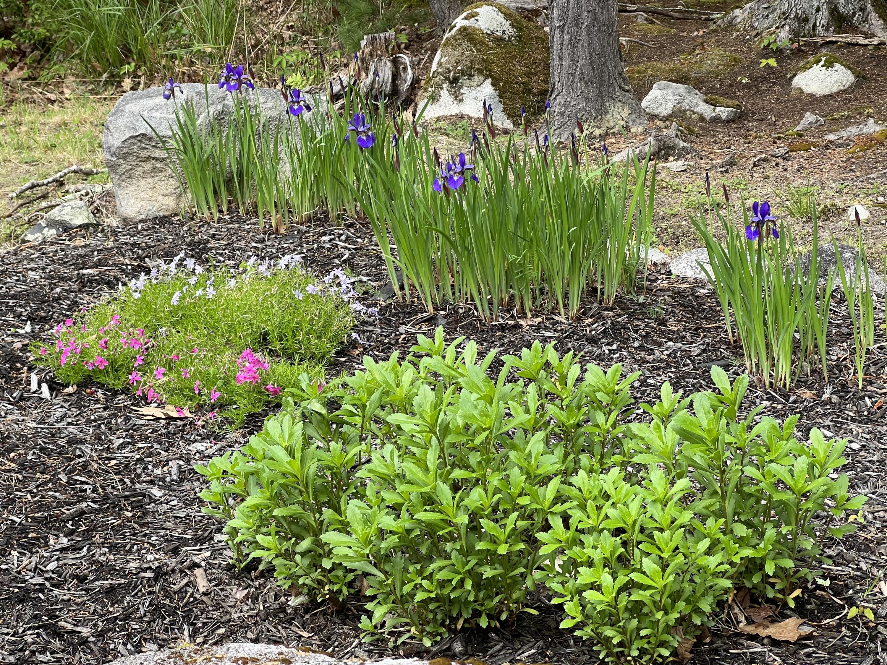 119 Hearthside Road Standish ME 04084