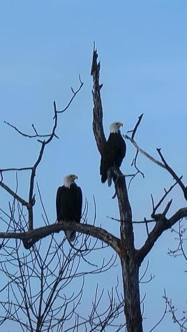 165 Old Stage Road Norway ME 04268