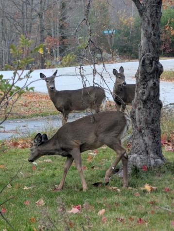 165 Old Stage Road Norway ME 04268