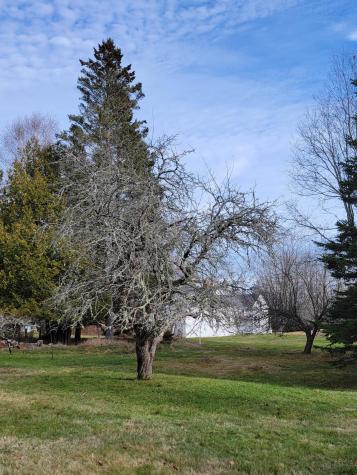 563 Eastside Road Hancock ME 04640