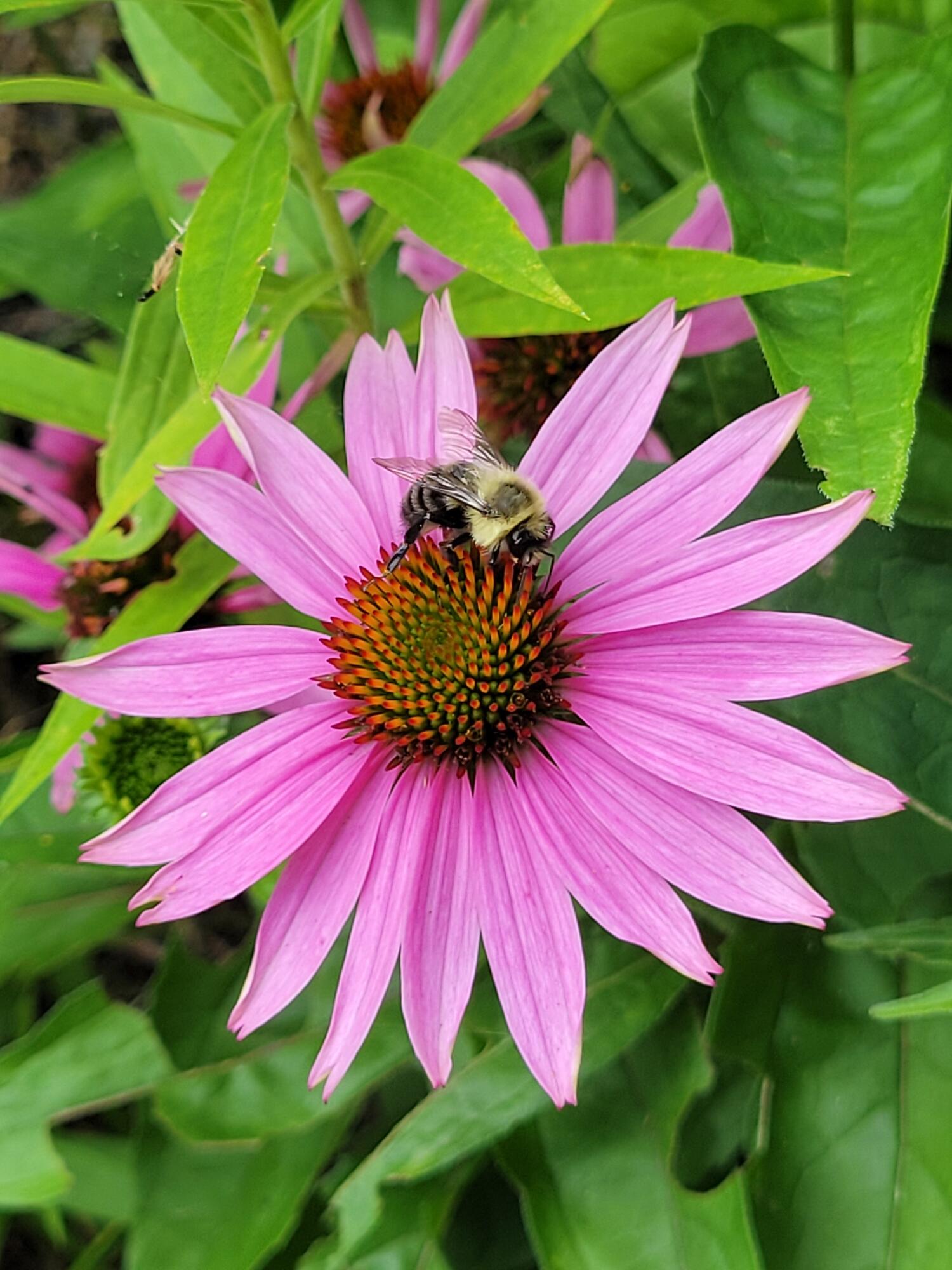 46 N Gorham Road Gorham ME 04038