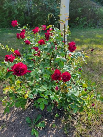 46 N Gorham Road Gorham ME 04038