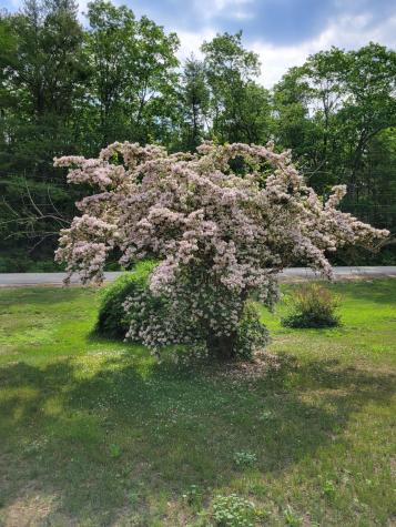 46 N Gorham Road Gorham ME 04038