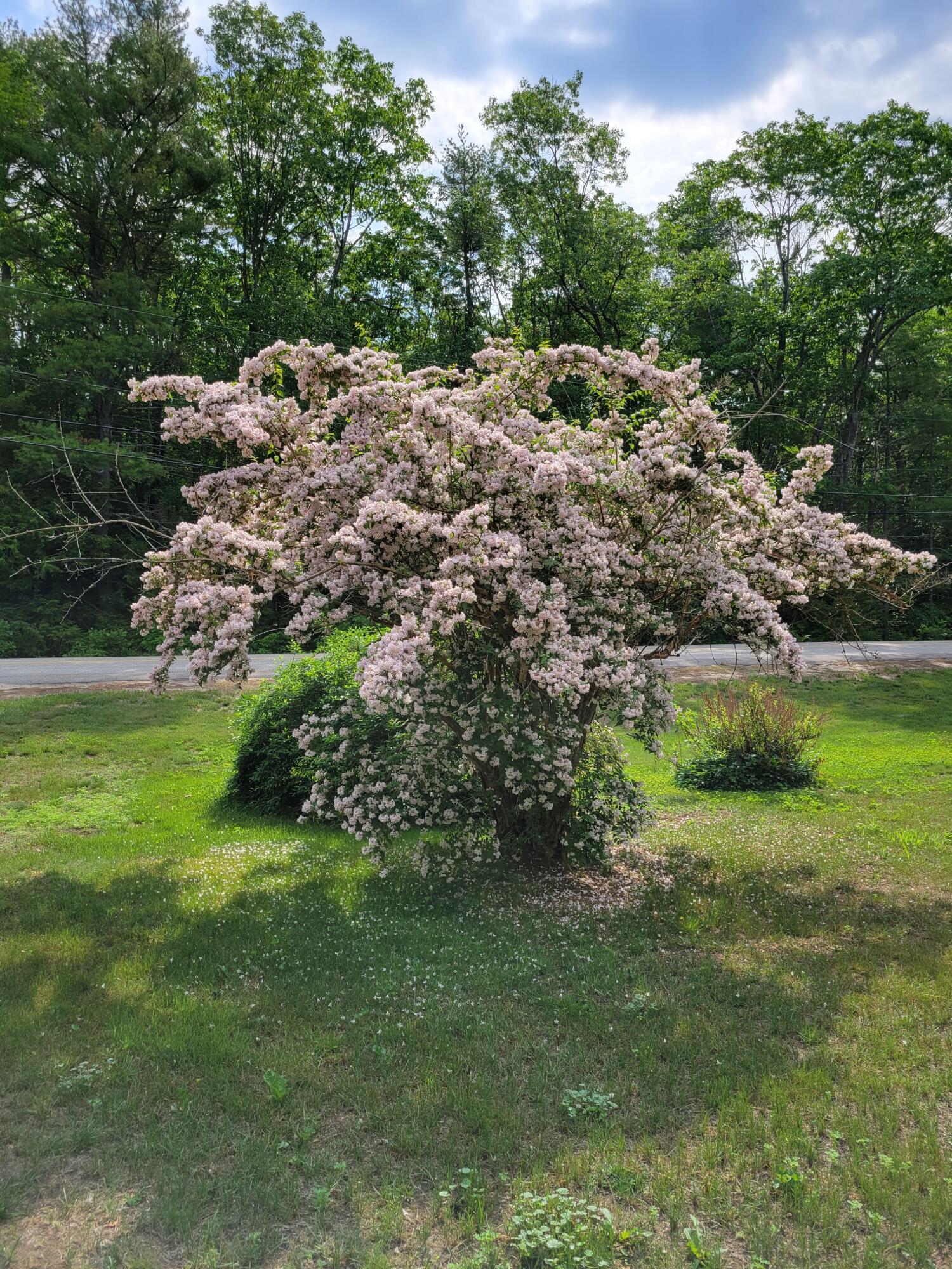 46 N Gorham Road Gorham ME 04038