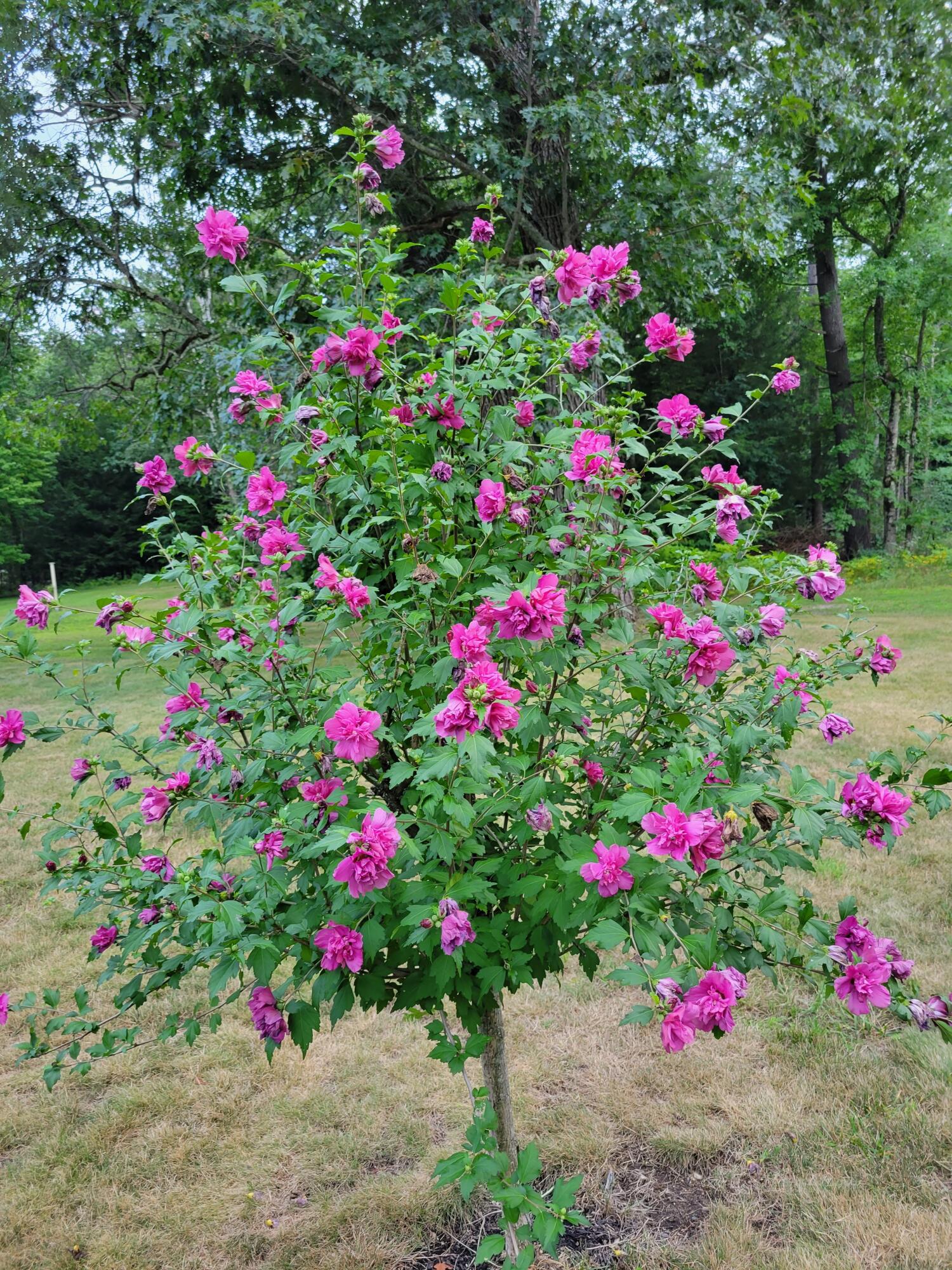 46 N Gorham Road Gorham ME 04038