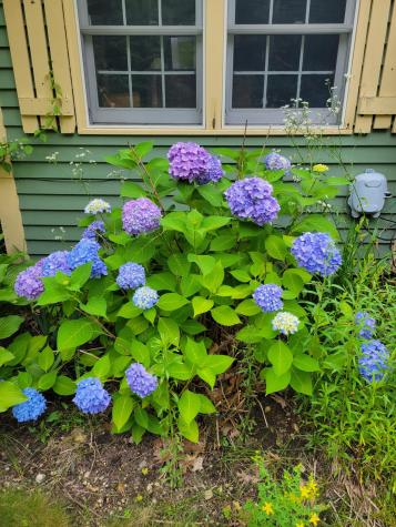 46 N Gorham Road Gorham ME 04038