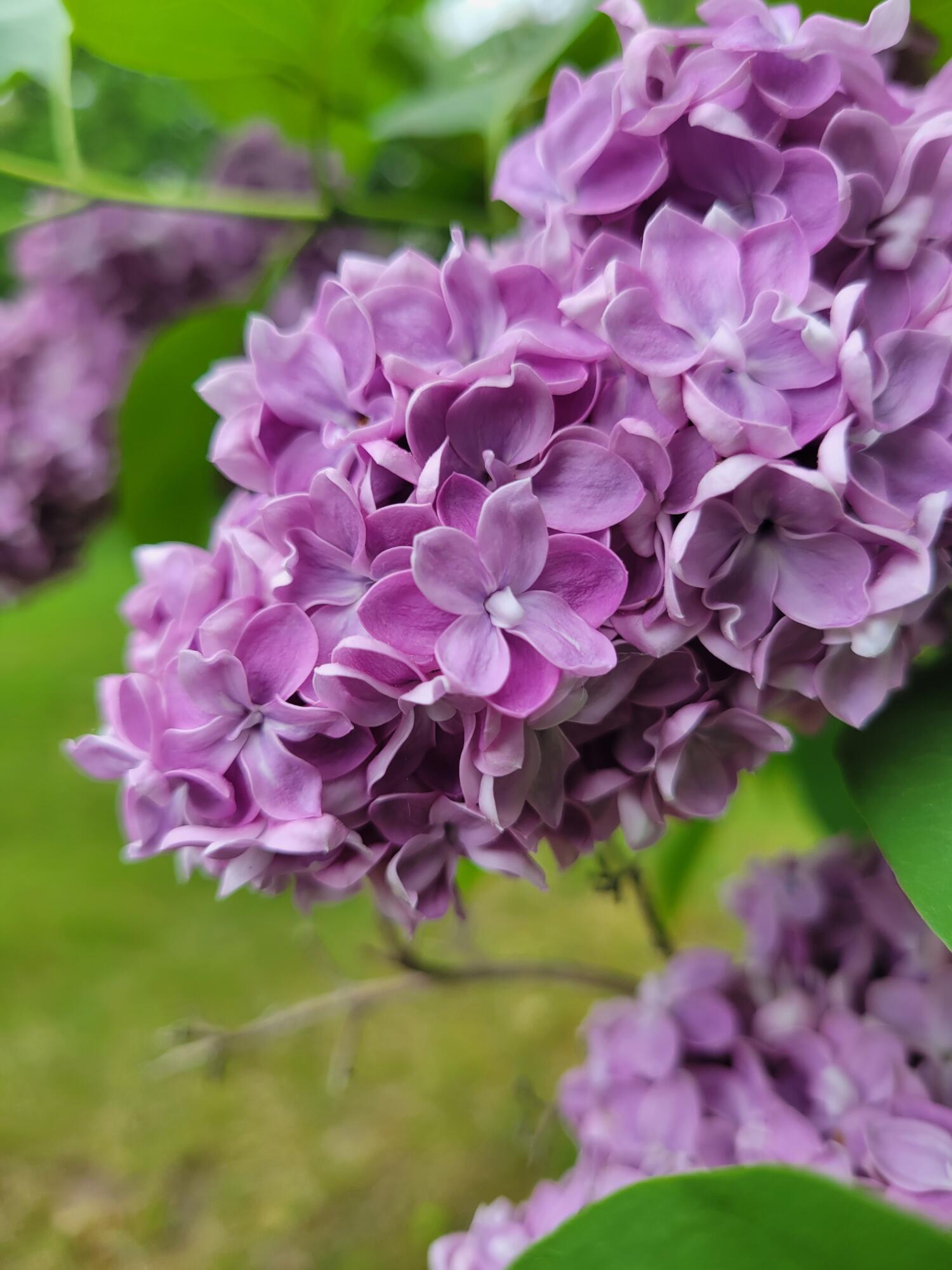 46 N Gorham Road Gorham ME 04038