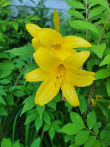 46 N Gorham Road Gorham ME 04038