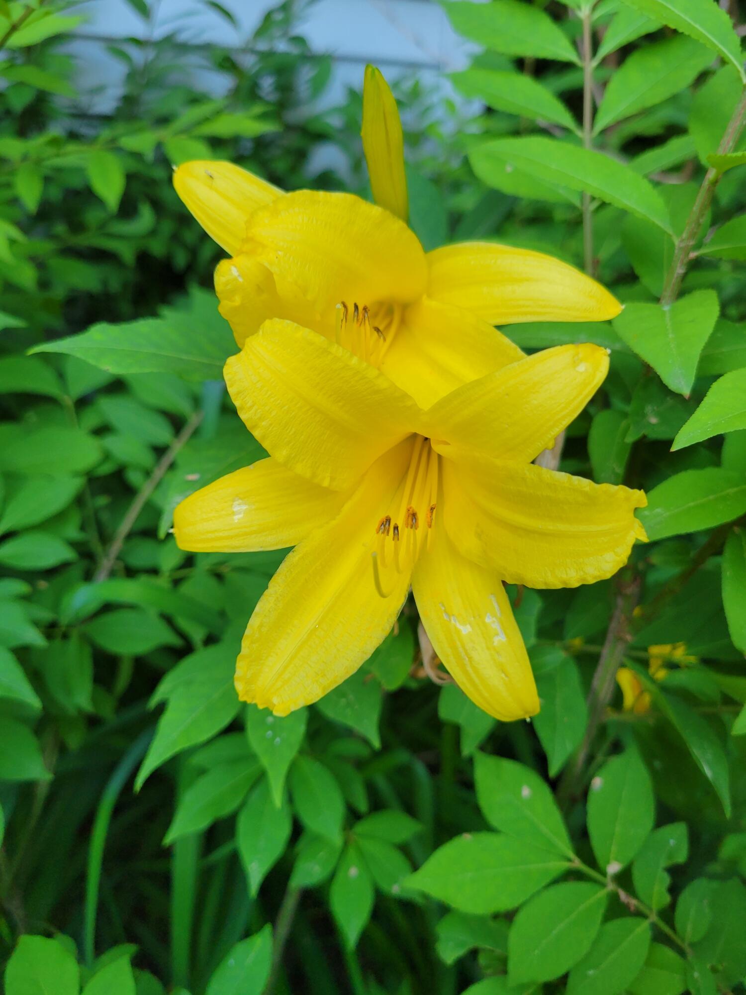 46 N Gorham Road Gorham ME 04038