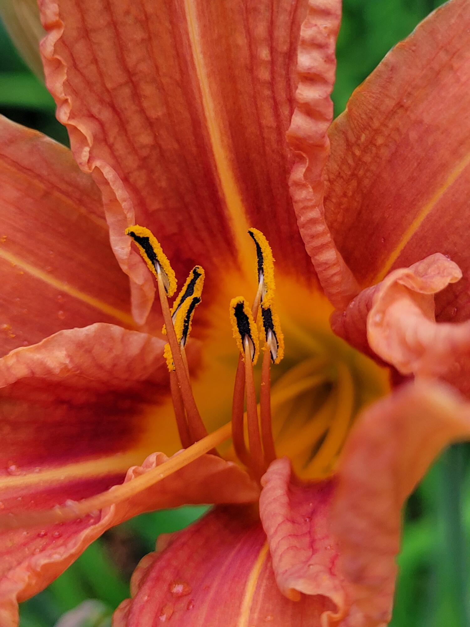 46 N Gorham Road Gorham ME 04038