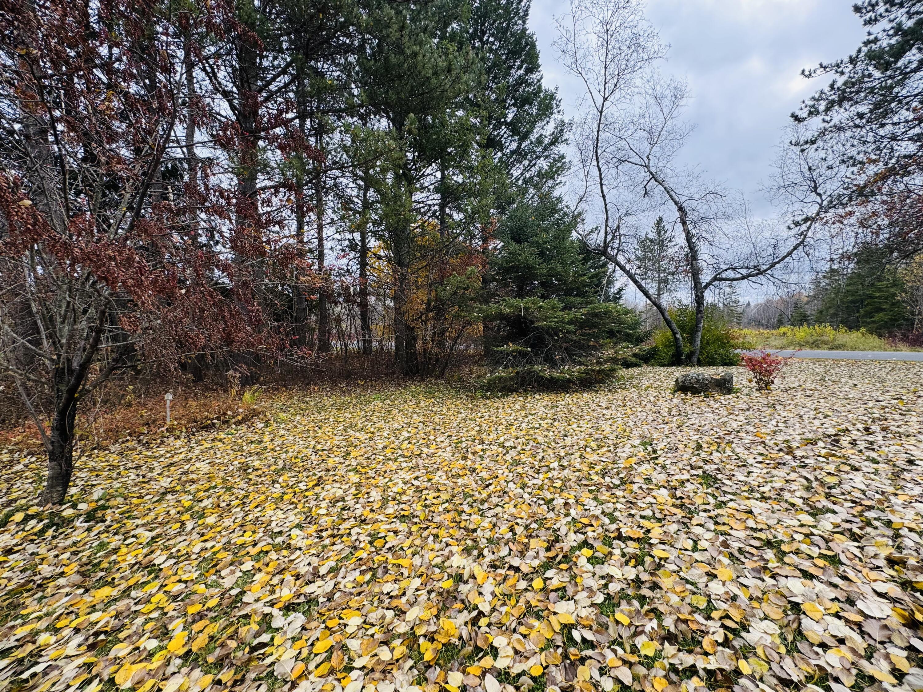 164 Baird Road Caribou ME 04736