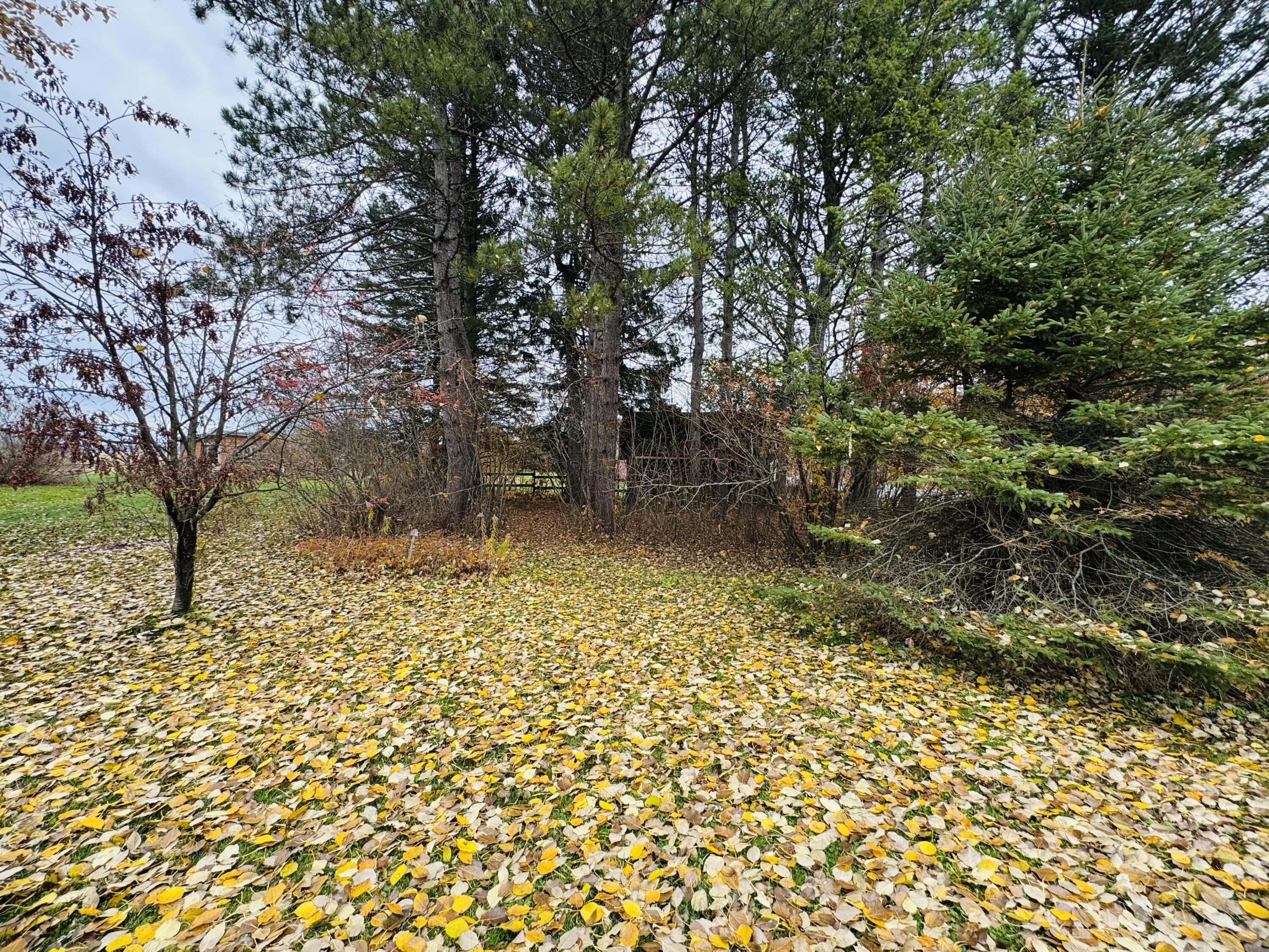 164 Baird Road Caribou ME 04736