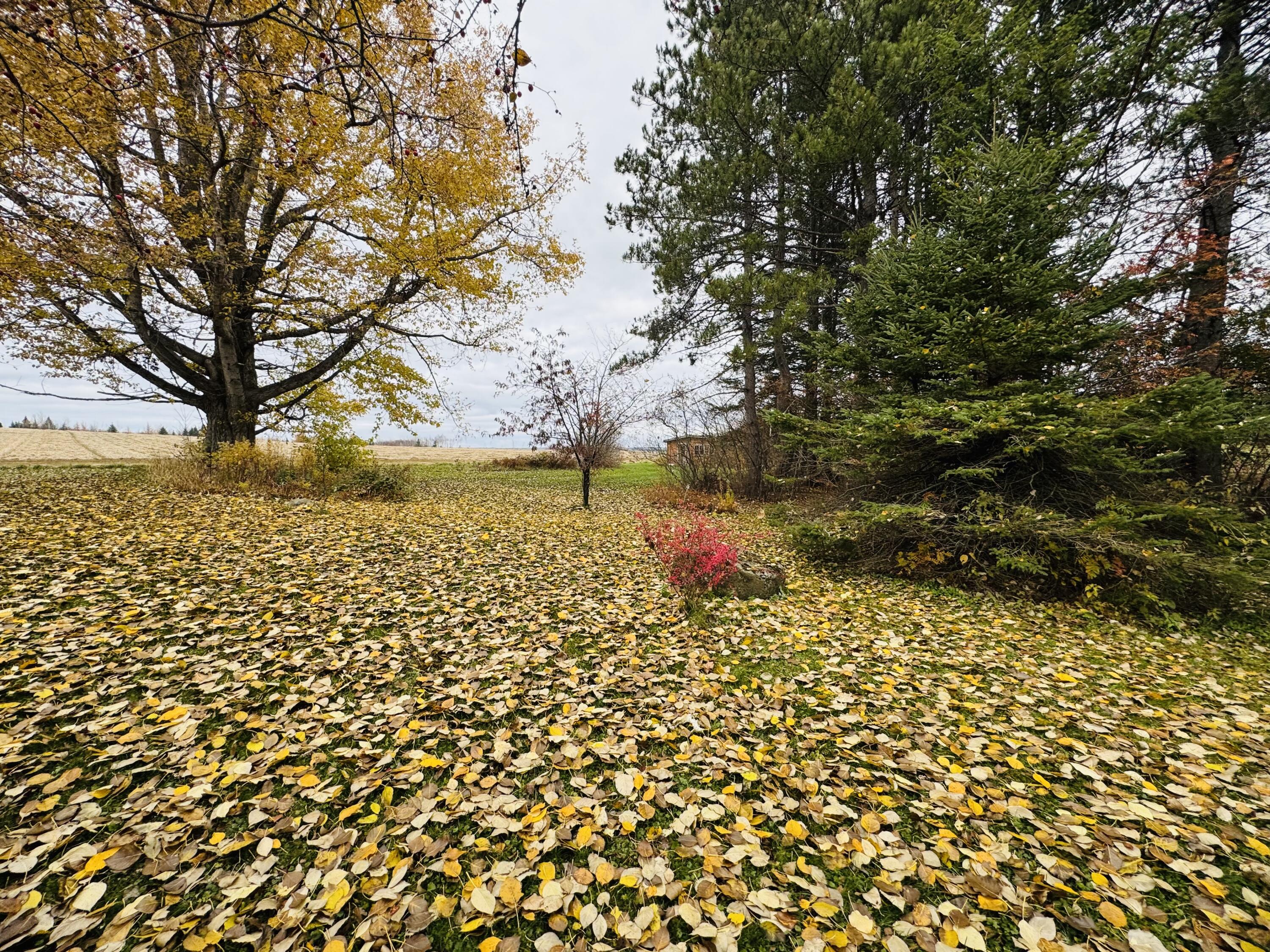 164 Baird Road Caribou ME 04736