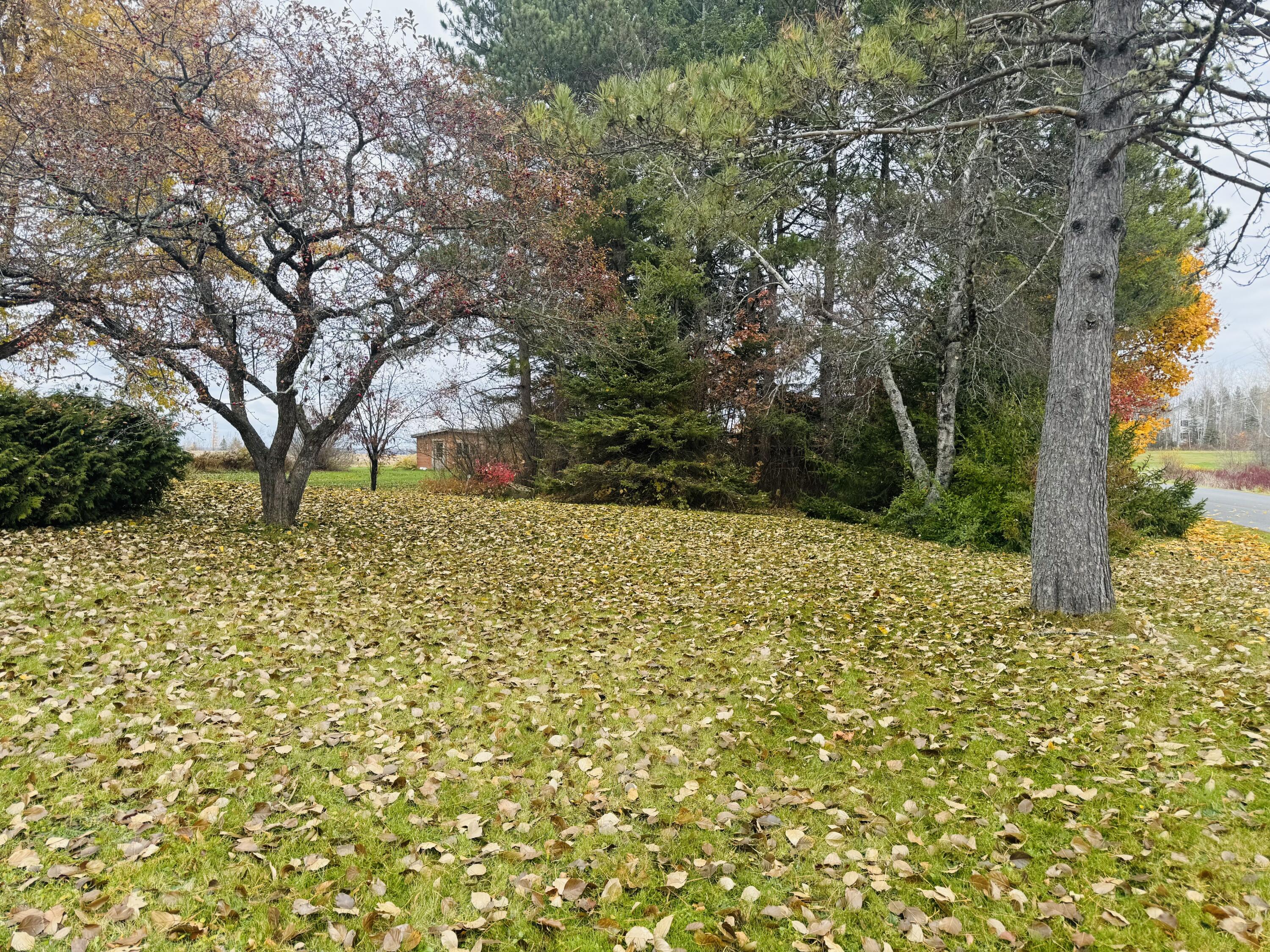 164 Baird Road Caribou ME 04736