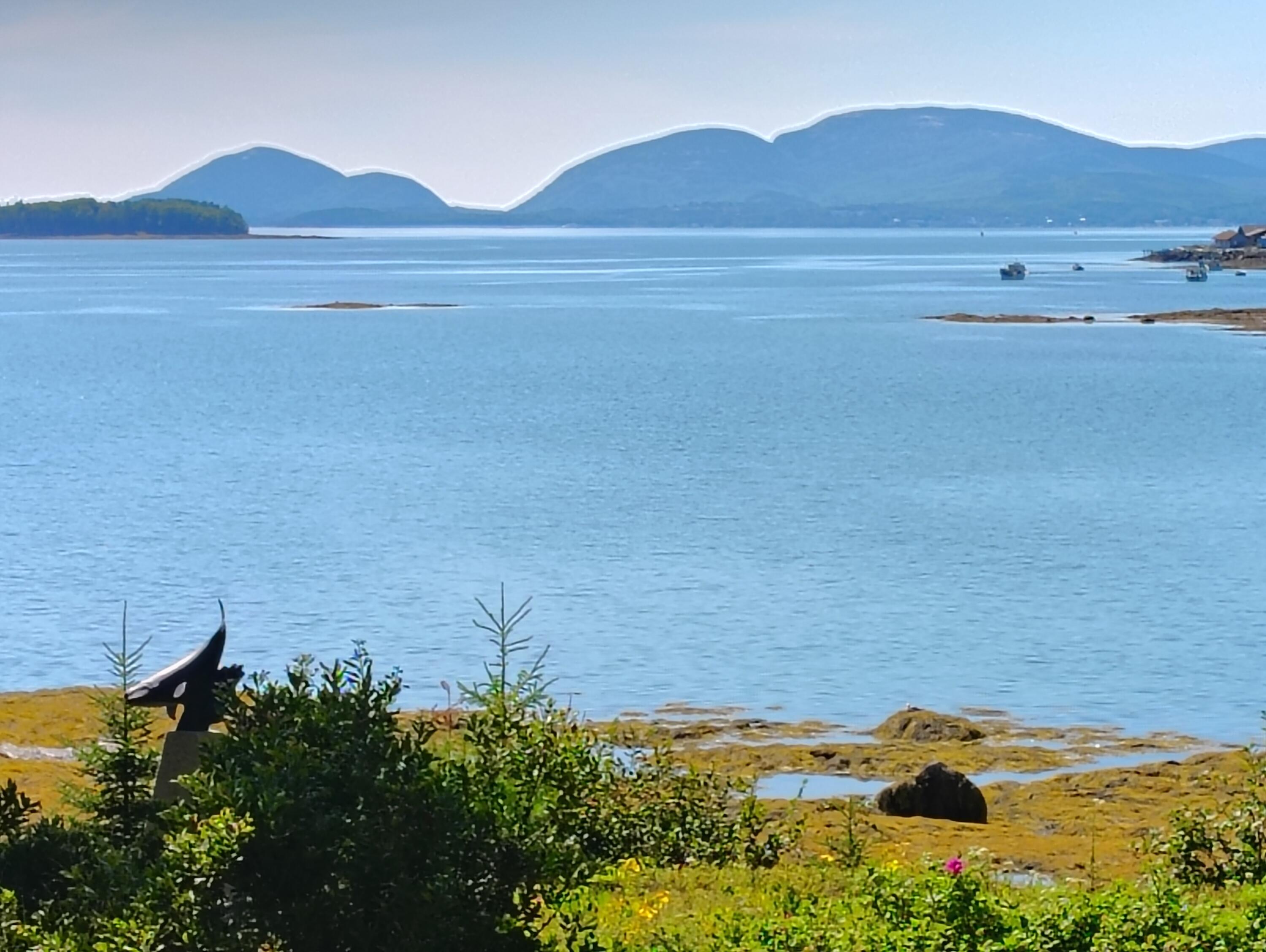 103 Gull Rock Road Hancock ME 04640