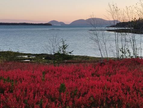 103 Gull Rock Road Hancock ME 04640