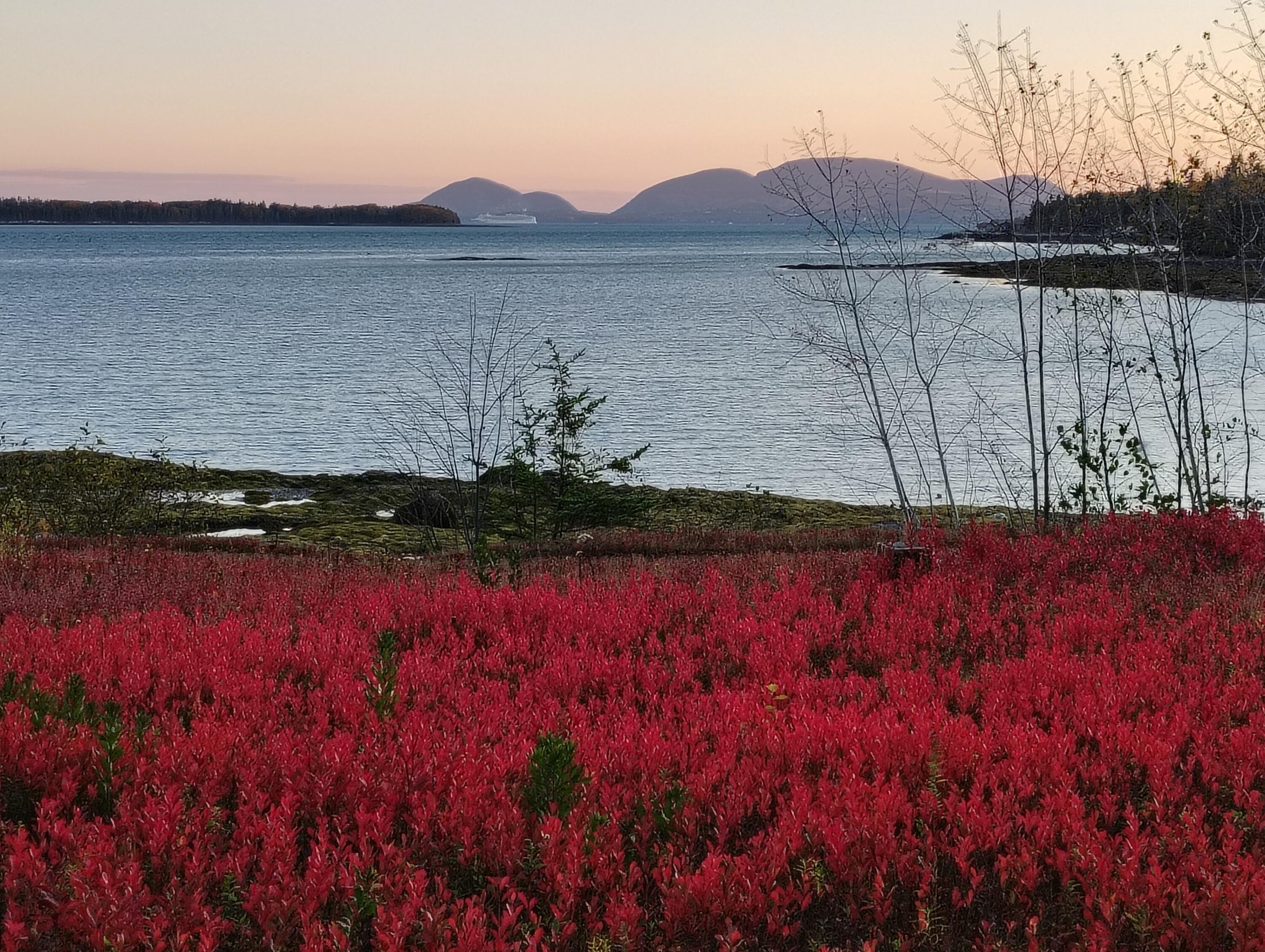 103 Gull Rock Road Hancock ME 04640