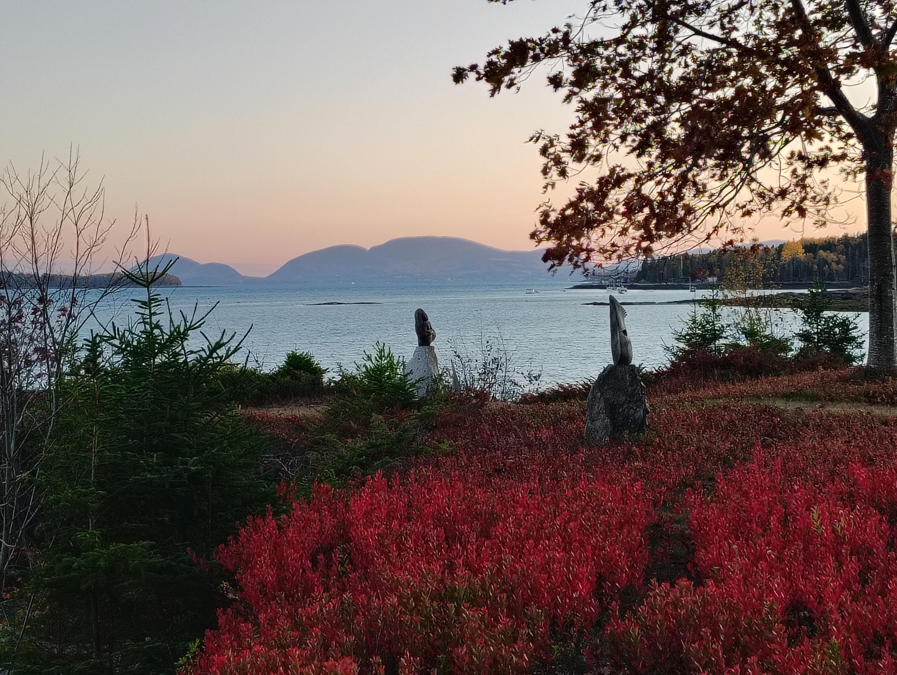 103 Gull Rock Road Hancock ME 04640