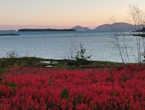 103 Gull Rock Road Hancock ME 04640