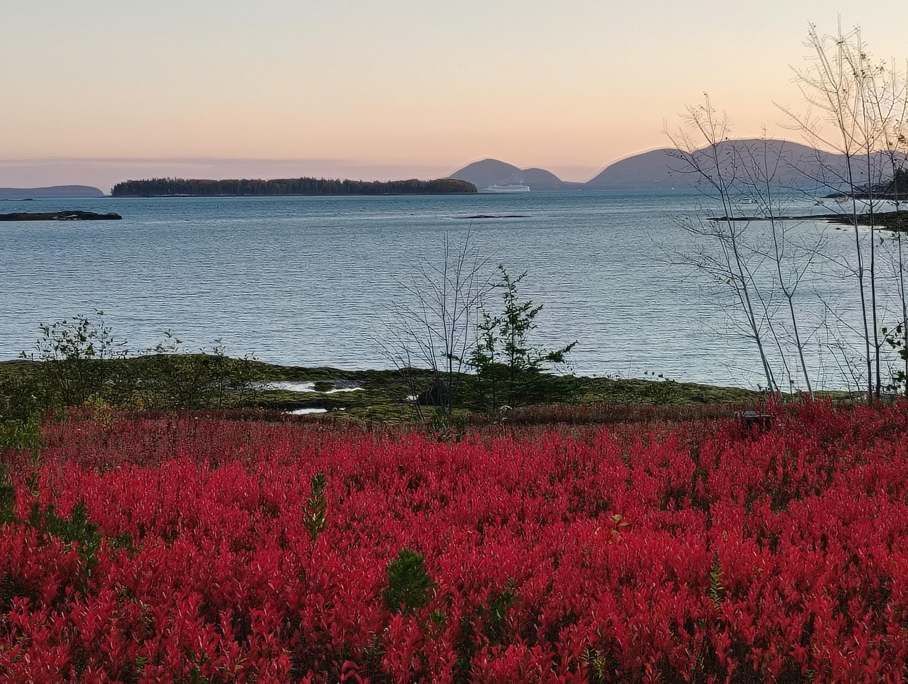 103 Gull Rock Road Hancock ME 04640