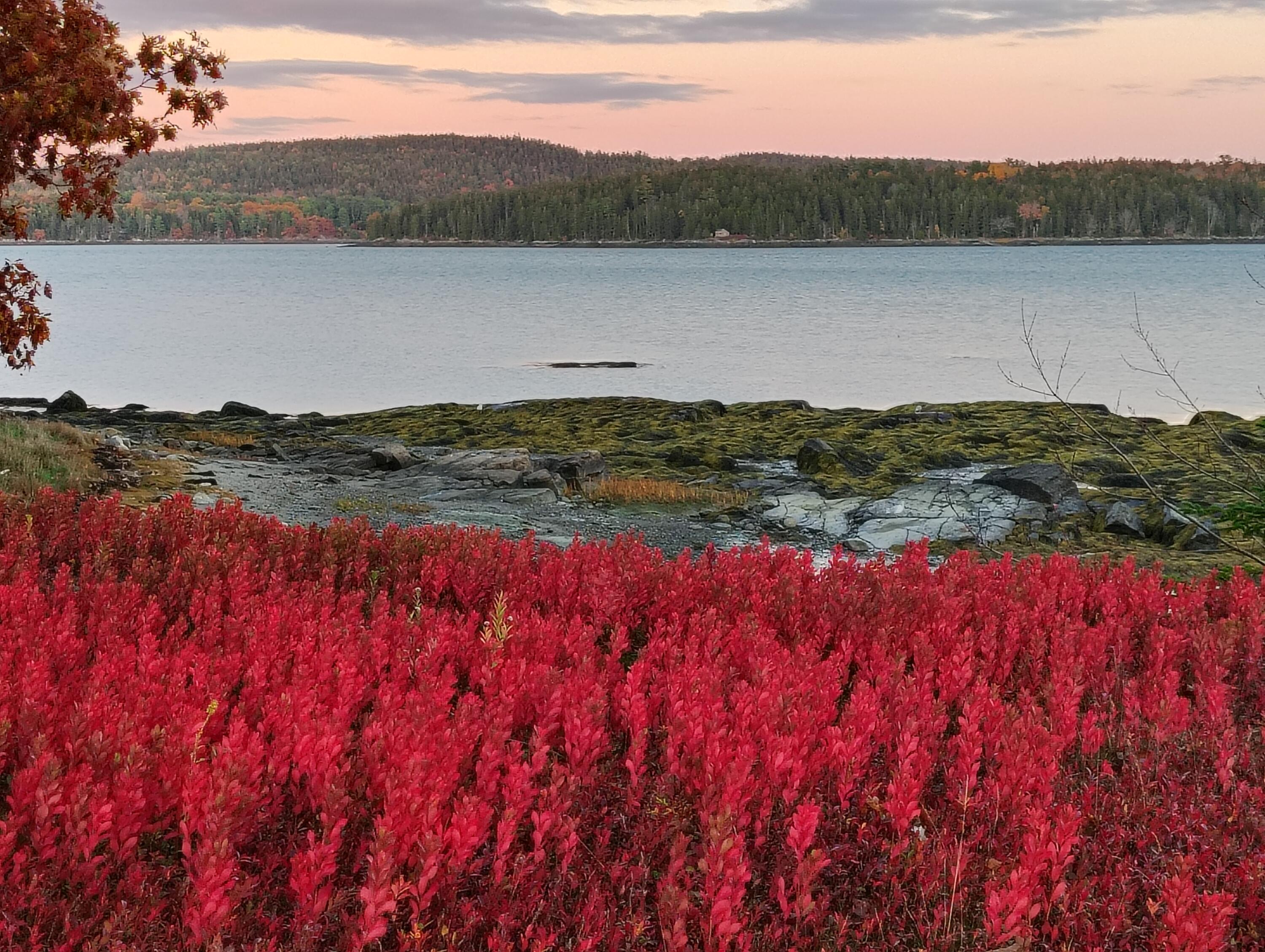 103 Gull Rock Road Hancock ME 04640