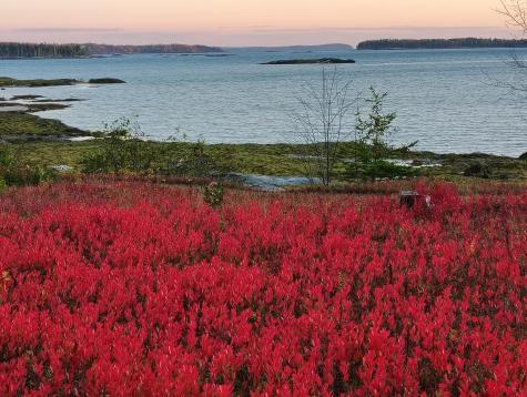 103 Gull Rock Road Hancock ME 04640