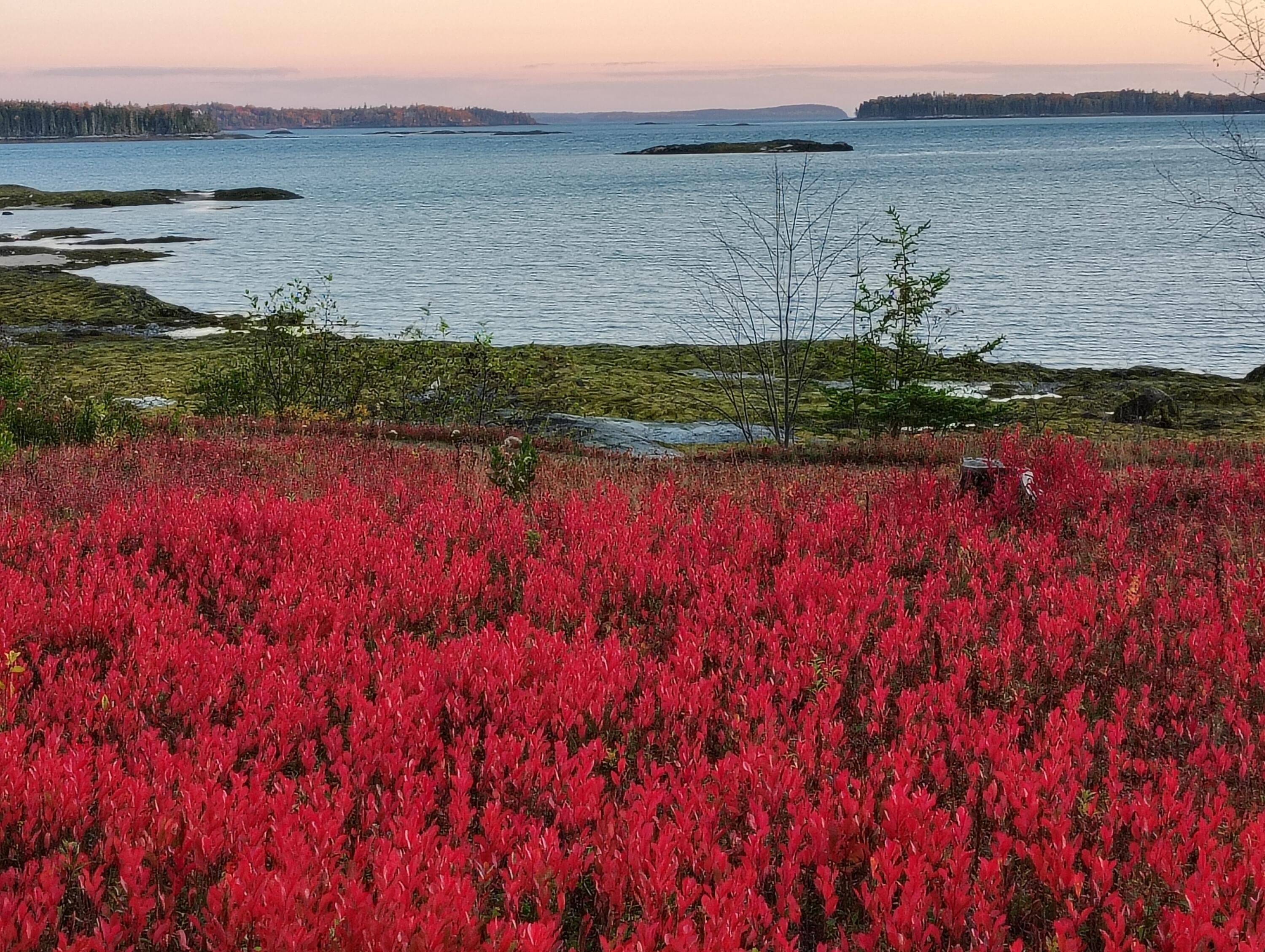 103 Gull Rock Road Hancock ME 04640