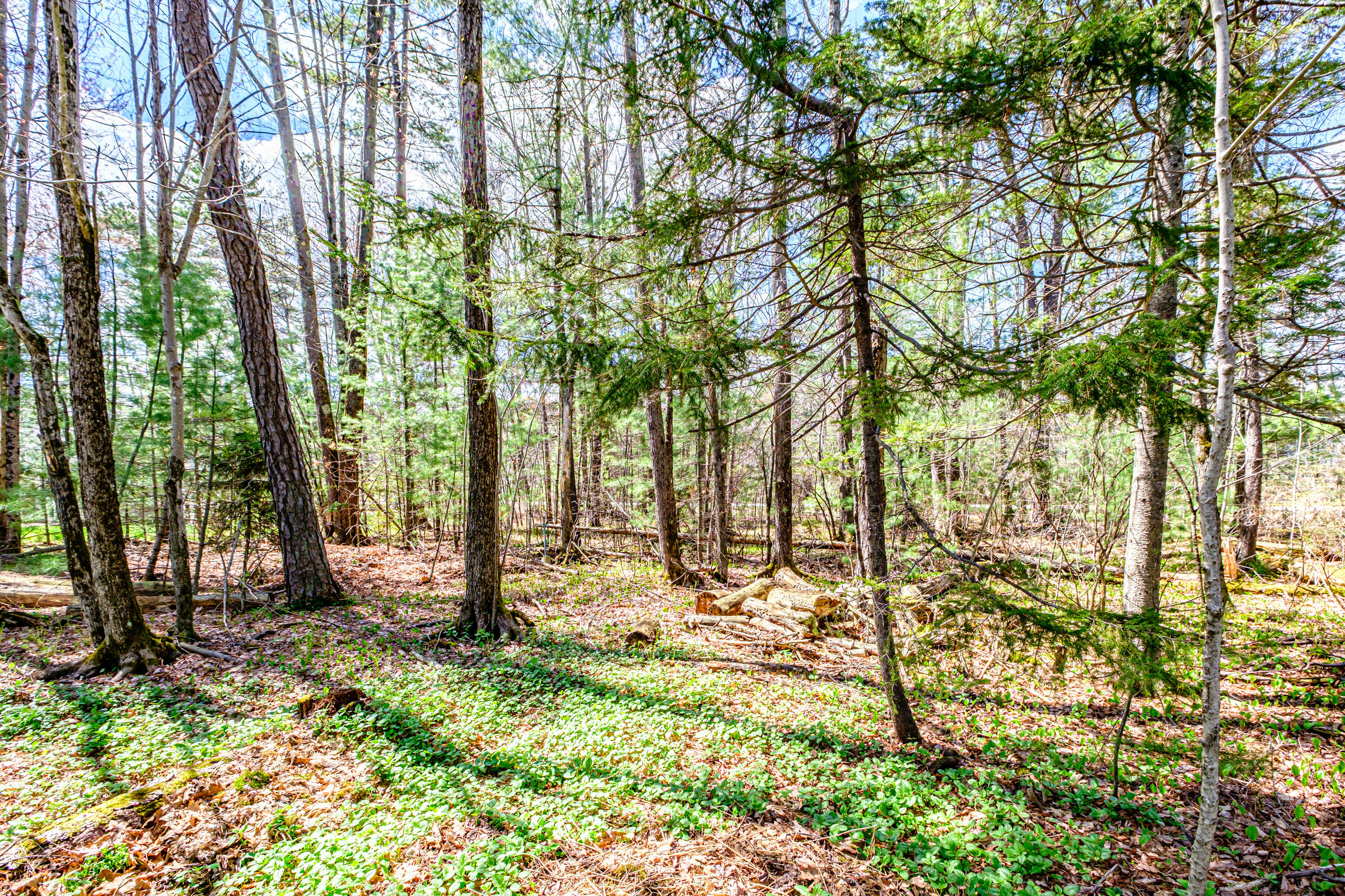 6 Coralburst Lane Scarborough ME 04074
