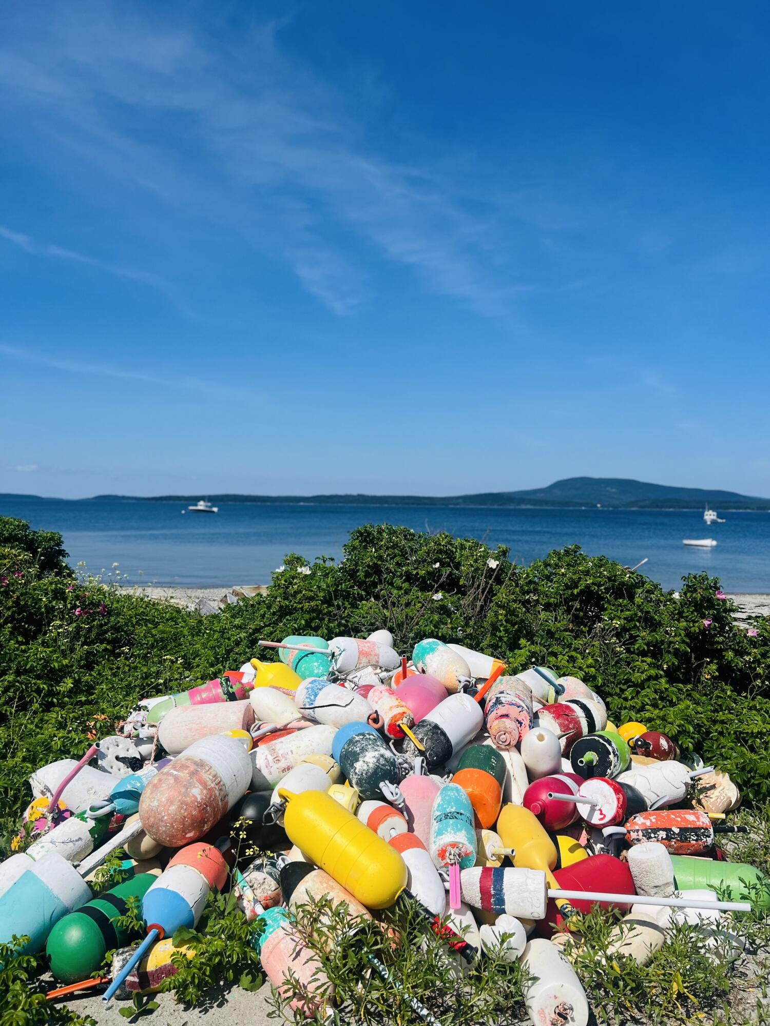 8 Bar Island Tremont ME 04674