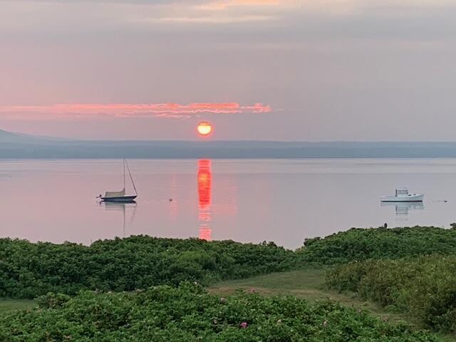 8 Bar Island Tremont ME 04674