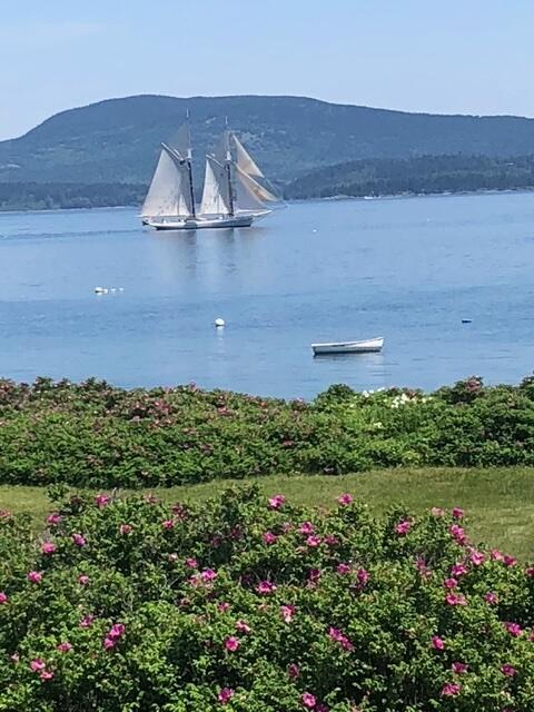 8 Bar Island Tremont ME 04674