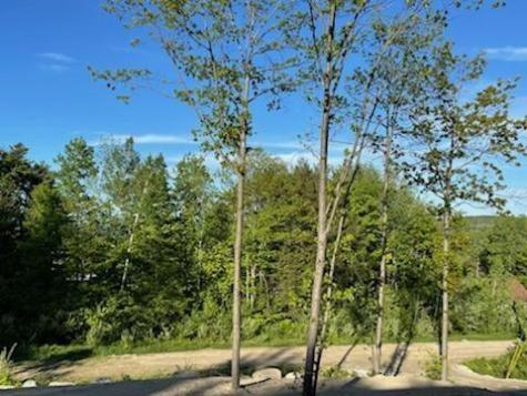 48 Haynes Heights Drive Norway ME 04268