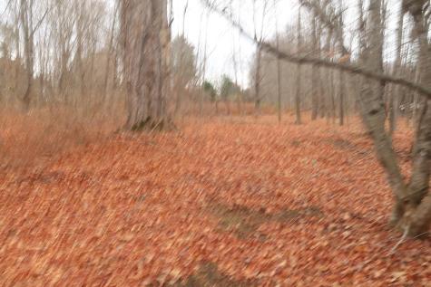 226 Pond Road Manchester ME 04351