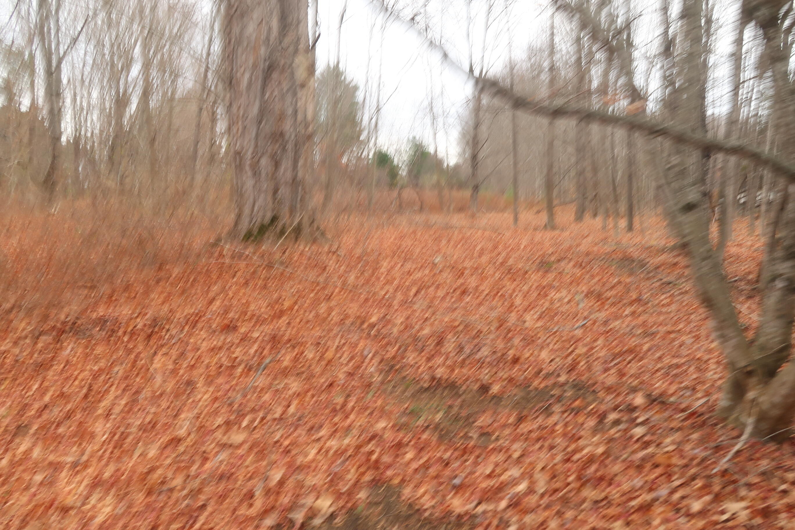 226 Pond Road Manchester ME 04351